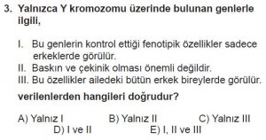 10. Sınıf Biyoloji Test 16 Soru-3