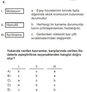 10. Sınıf Biyoloji Test 16 Soru-4