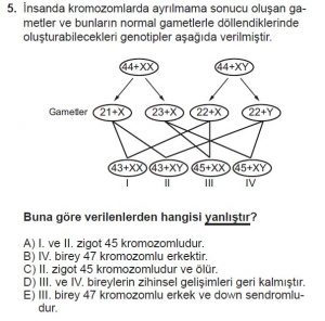10. Sınıf Biyoloji Test 16 Soru-5