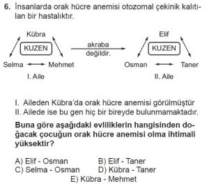 10. Sınıf Biyoloji Test 16 Soru-6