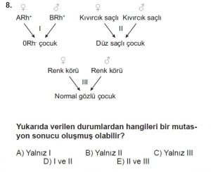 10. Sınıf Biyoloji Test 16 Soru-8