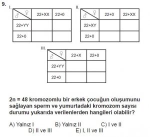 10. Sınıf Biyoloji Test 16 Soru-9