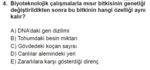 10. Sınıf Biyoloji Test 17 Soru-4