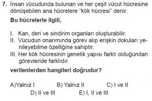 10. Sınıf Biyoloji Test 17 Soru-7