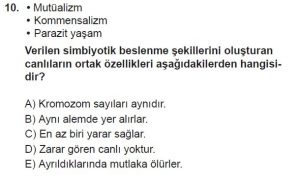 10. Sınıf Biyoloji Test 19 Soru-10