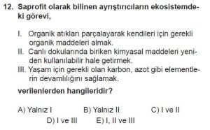 10. Sınıf Biyoloji Test 19 Soru-12