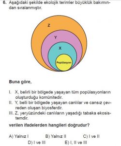 10. Sınıf Biyoloji Test 19 Soru-6