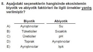 10. Sınıf Biyoloji Test 19 Soru-8