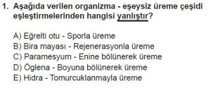 10. Sınıf Biyoloji Test 2 Soru-1