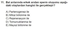 10. Sınıf Biyoloji Test 2 Soru-11