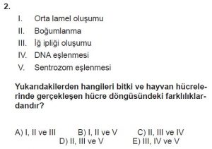 10. Sınıf Biyoloji Test 2 Soru-2