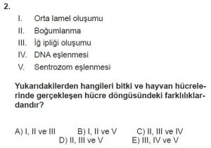 10. Sınıf Biyoloji Test 2 Soru-2