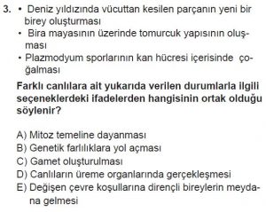 10. Sınıf Biyoloji Test 2 Soru-3