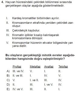 10. Sınıf Biyoloji Test 2 Soru-4