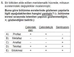 10. Sınıf Biyoloji Test 2 Soru-5