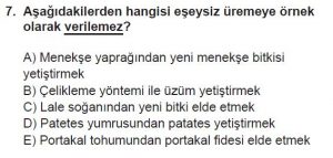 10. Sınıf Biyoloji Test 2 Soru-7