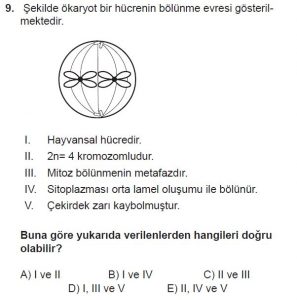 10. Sınıf Biyoloji Test 2 Soru-9