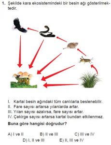 10. Sınıf Biyoloji Test 20 Soru-1