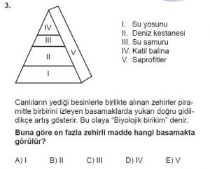 10. Sınıf Biyoloji Test 20 Soru-3