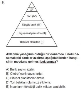 10. Sınıf Biyoloji Test 20 Soru-6