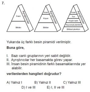 10. Sınıf Biyoloji Test 20 Soru-7