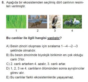 10. Sınıf Biyoloji Test 20 Soru-8