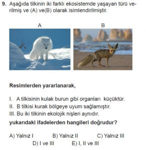 10. Sınıf Biyoloji Test 20 Soru-9