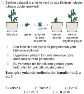 10. Sınıf Biyoloji Test 3 Soru-1