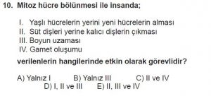 10. Sınıf Biyoloji Test 3 Soru-10