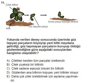 10. Sınıf Biyoloji Test 3 Soru-11