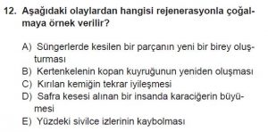 10. Sınıf Biyoloji Test 3 Soru-12