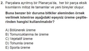 10. Sınıf Biyoloji Test 3 Soru-2