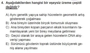10. Sınıf Biyoloji Test 3 Soru-4