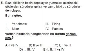 10. Sınıf Biyoloji Test 3 Soru-5
