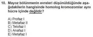 10. Sınıf Biyoloji Test 4 Soru-10