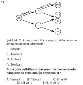 10. Sınıf Biyoloji Test 4 Soru-11