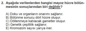 10. Sınıf Biyoloji Test 4 Soru-2