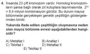 10. Sınıf Biyoloji Test 4 Soru-4