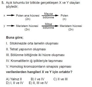 10. Sınıf Biyoloji Test 4 Soru-5