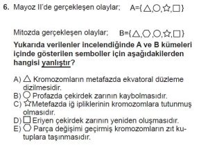 10. Sınıf Biyoloji Test 4 Soru-6