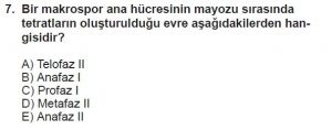10. Sınıf Biyoloji Test 4 Soru-7
