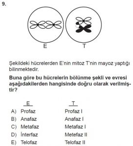 10. Sınıf Biyoloji Test 4 Soru-9