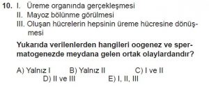 10. Sınıf Biyoloji Test 5 Soru-10