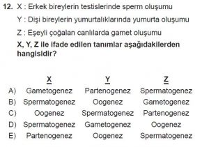 10. Sınıf Biyoloji Test 5 Soru-12