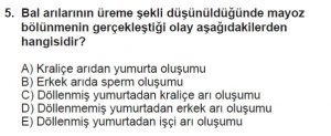 10. Sınıf Biyoloji Test 5 Soru-5