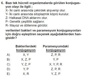 10. Sınıf Biyoloji Test 5 Soru-6