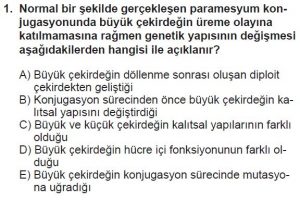 10. Sınıf Biyoloji Test 6 Soru-1