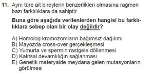 10. Sınıf Biyoloji Test 6 Soru-11
