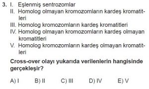10. Sınıf Biyoloji Test 6 Soru-3