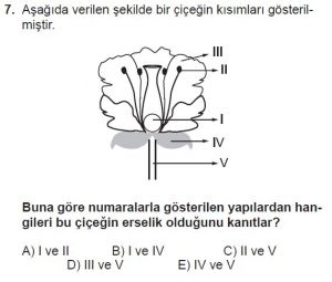 10. Sınıf Biyoloji Test 6 Soru-7